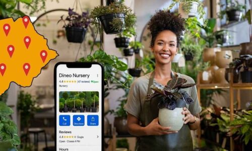 Google Business Profile Mastery: Rank #1 & Win Customers in Botswana