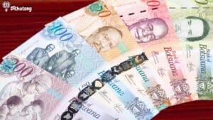 earn pula teaching online botswana | Dithutong: Online Courses & eLearning in Botswana | eLearning for Botswana Botswana pula currency on a laptop for online teaching income.